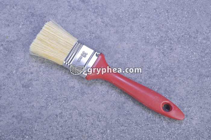 Pinceau - gryphea.org